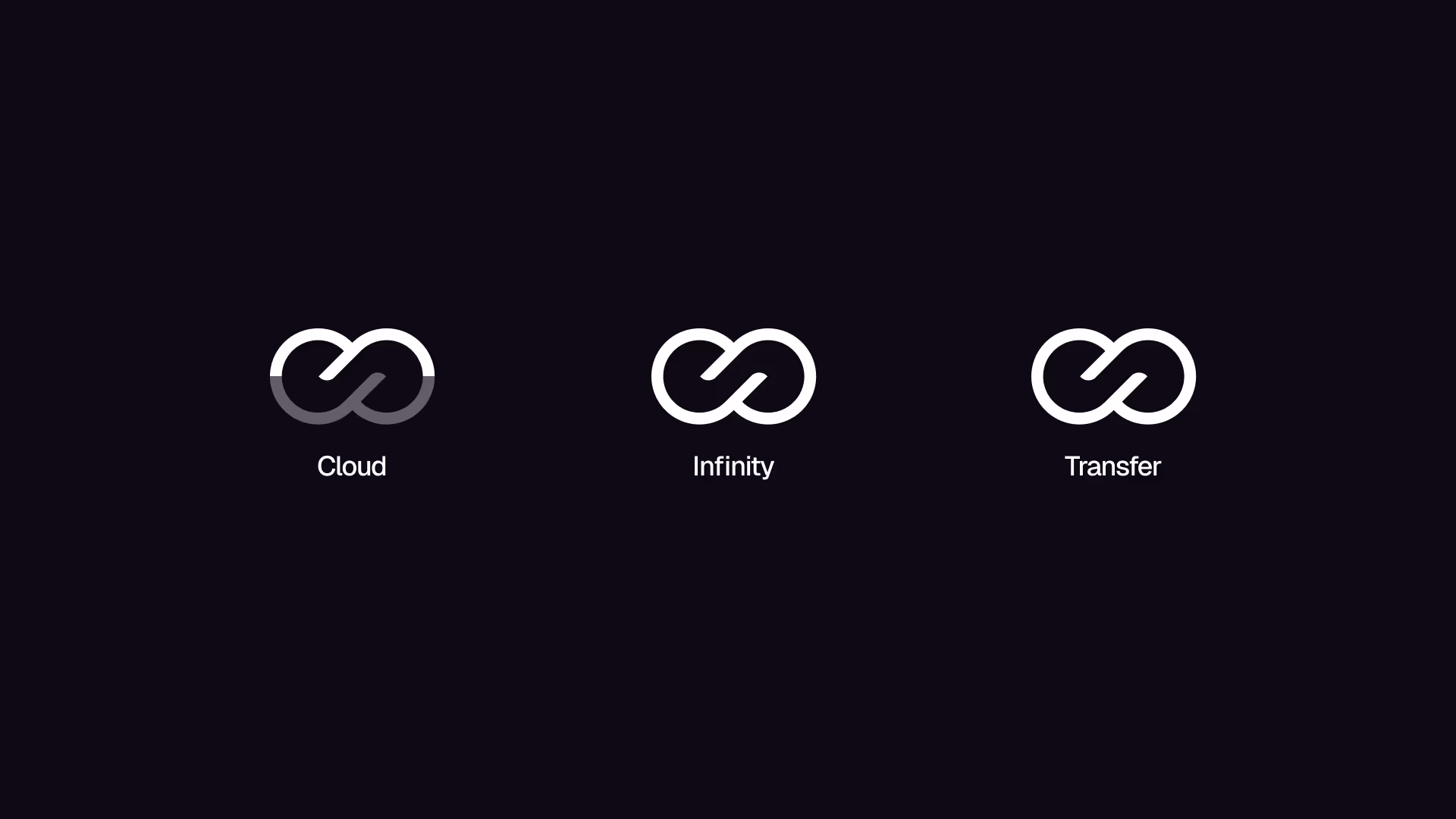 Visual breakdown of the InfinyOn logo design, explaining the typography and brandmark components