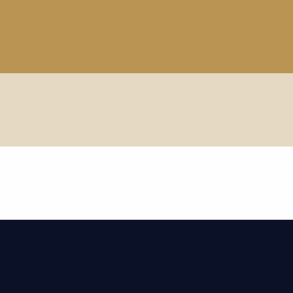 Veritas brand color palette showcasing primary and secondary brand colors