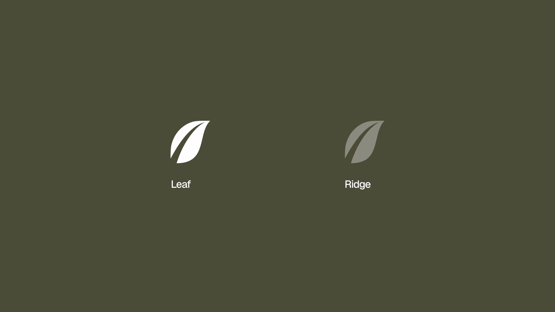 Visual breakdown of the Appleridge logo design, explaining the leaf mark and ridge typography components
